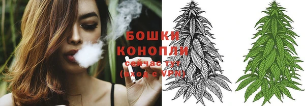 стафф Волгодонск